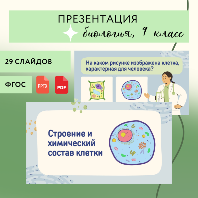 Координация и регуляция — конспект урока