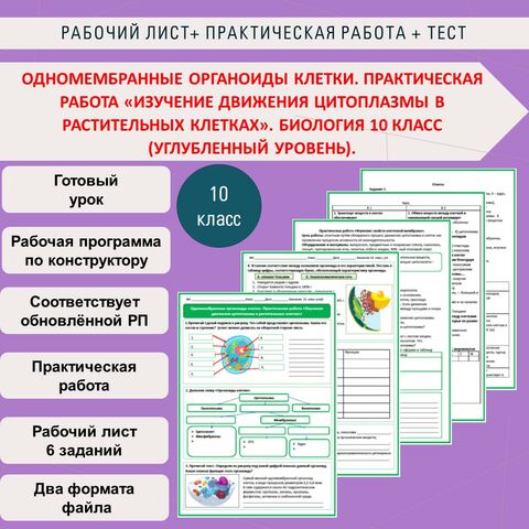 Ликбез: что такое митохондрии?