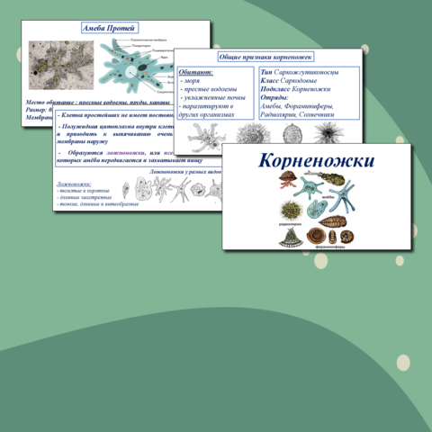 МО учителей начальных классов