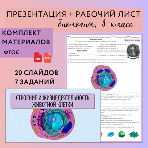 Биология. Модель клетки из пластилина как сделать, как вылепить амебу?