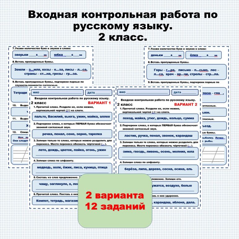 Собкалова Анна Петровна: Подготовка к контрольным работам по русскому языку1класс