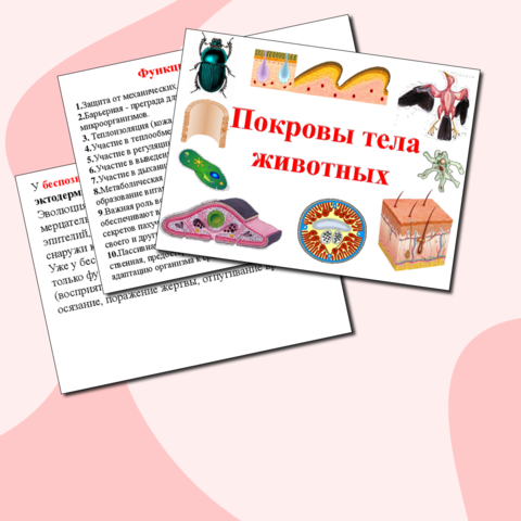 Сценарий урока биологии в 7 классе «Класс Пресмыкающиеся, или Рептилии. Отряд Чешуйчатые»