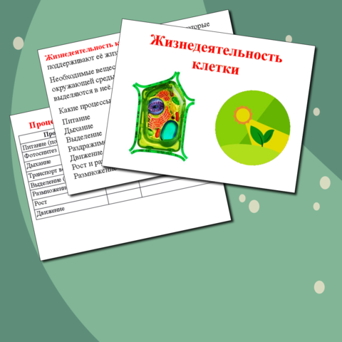 Antibiotic Selection of Plasmids - JoVE